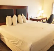Comfort Inn & Suites hotel detail image 3