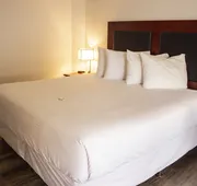 Comfort Inn & Suites hotel detail image 4
