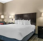 Comfort Inn & Suites Toledo North hotel detail image 7