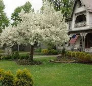 Rocking Horse Inn hotel detail image 4