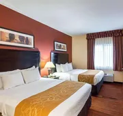 Comfort Suites Airport hotel detail image 5