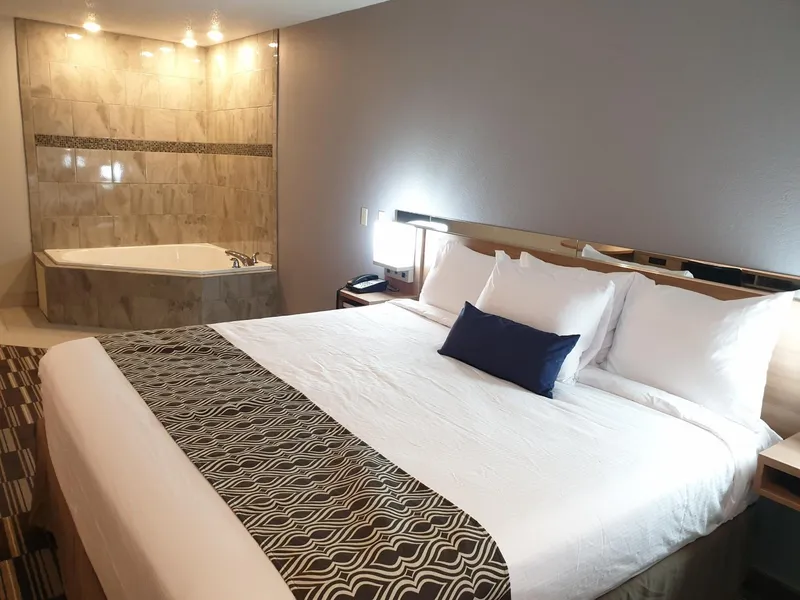 Microtel Inn & Suites by Wyndham Augusta/Riverwatch hotel detail image 2