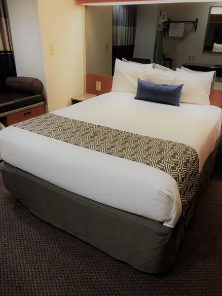 Microtel Inn & Suites by Wyndham Augusta/Riverwatch hotel detail image 6