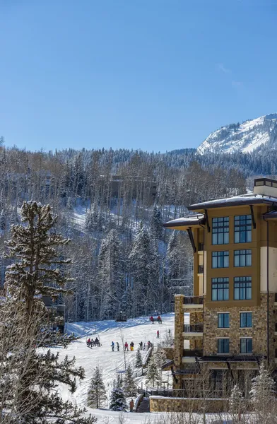 Viceroy Snowmass hotel detail image 2