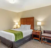 Comfort Inn & Suites Lancaster Antelope Valley hotel detail image 7