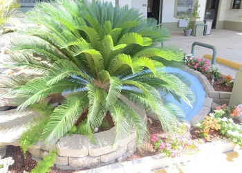 Scottish Inns & Suites at NRG Park hotel thumbnail 6