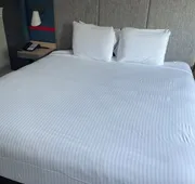 The Midtowner Hotel, SureStay Collection by Best Western hotel detail image 5