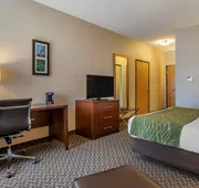 Comfort Inn Charlotte hotel detail image 7