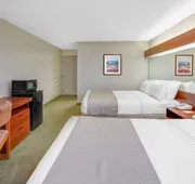 Microtel Inn & Suites by Wyndham Hattiesburg hotel detail image 4