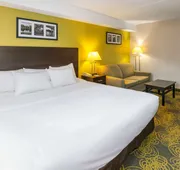 Comfort Hotel & Suites hotel detail image 7