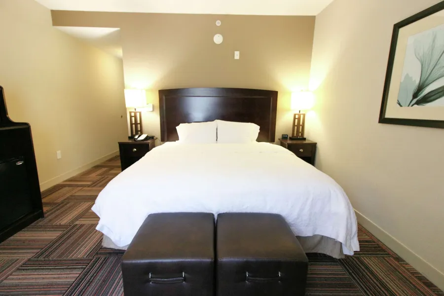 Hampton Inn & Suites by Hilton Flowery Branch Lake Lanier hotel detail image 6