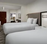 SpringHill Suites by Marriott Atlanta Buford/Mall of Georgia hotel detail image 5