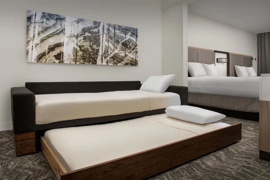 SpringHill Suites by Marriott Atlanta Buford/Mall of Georgia hotel detail image 6