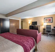 Comfort Inn Saugerties hotel detail image 7