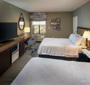 Hampton Inn & Suites Binghamton/Vestal hotel detail image 3