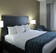 Comfort Inn Port Huron hotel detail image 7