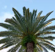 Jupiter Waterfront Inn hotel detail image 5
