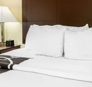 La Quinta Inn & Suites by Wyndham Ennis hotel detail image 7