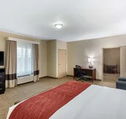 Comfort Inn & Suites Cedar Hill Duncanville hotel detail image 4