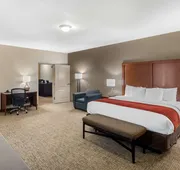 Comfort Inn & Suites Cedar Hill Duncanville hotel detail image 7