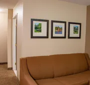 Comfort Inn & Suites Geneva - West Chicago hotel detail image 4