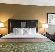 Comfort Inn Warner Robins - Robins Air Force Base Area hotel detail image 4