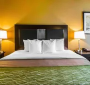 Comfort Inn Warner Robins - Robins Air Force Base Area hotel detail image 5