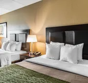 Comfort Inn Warner Robins - Robins Air Force Base Area hotel detail image 7