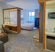 SpringHill Suites by Marriott Macon hotel detail image 3