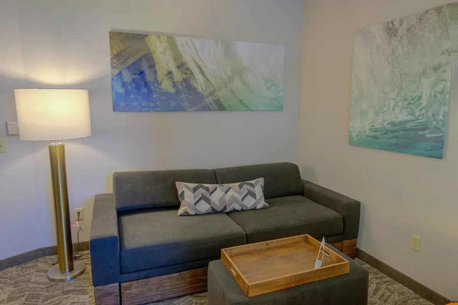 SpringHill Suites by Marriott Macon hotel detail image 6