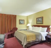 Quality Inn hotel detail image 5