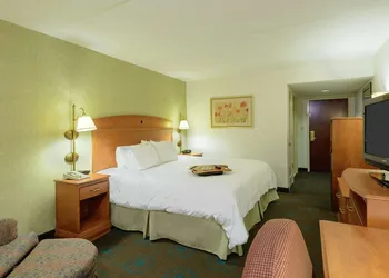 Hampton Inn By Hilton Mt. Vernon hotel thumbnail 6