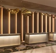 Grand Hyatt Atlanta in Buckhead hotel detail image 4
