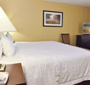 Hampton Inn & Suites Alexandria hotel detail image 7