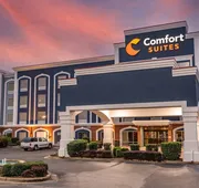 Comfort Suites Olive Branch - Memphis South hotel detail image 4