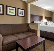 Comfort Inn & Suites DeLand - near University hotel detail image 5