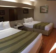 Microtel Inn & Suites by Wyndham Lodi/North Stockton hotel detail image 7