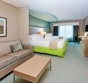 Holiday Inn Express Hotel & Suites Warner Robins North West by IHG hotel detail image 7