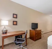 Comfort Inn & Suites East Moline near I-80 hotel detail image 3