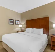 Comfort Inn & Suites East Moline near I-80 hotel detail image 4