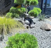 Timbers INN and Suites hotel detail image 3