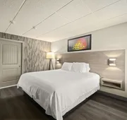 The Elmwood hotel detail image 5