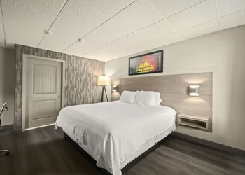 The Elmwood hotel thumbnail 5