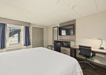 The Elmwood hotel thumbnail 6