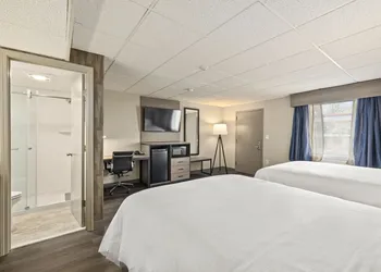 The Elmwood hotel thumbnail 8