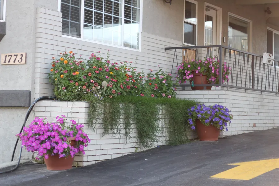 Best Budget Inn and Suites hotel detail image 6
