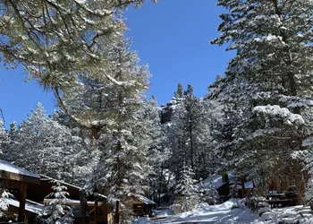 Pine Haven Resort hotel thumbnail 2