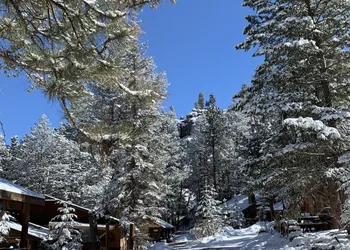Pine Haven Resort hotel thumbnail 2