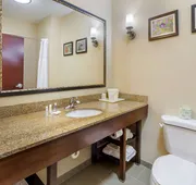 Comfort Suites Wilson I-95 hotel detail image 7