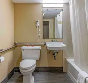 Econo Lodge & Suites Southern Pines - Pinehurst hotel detail image 7